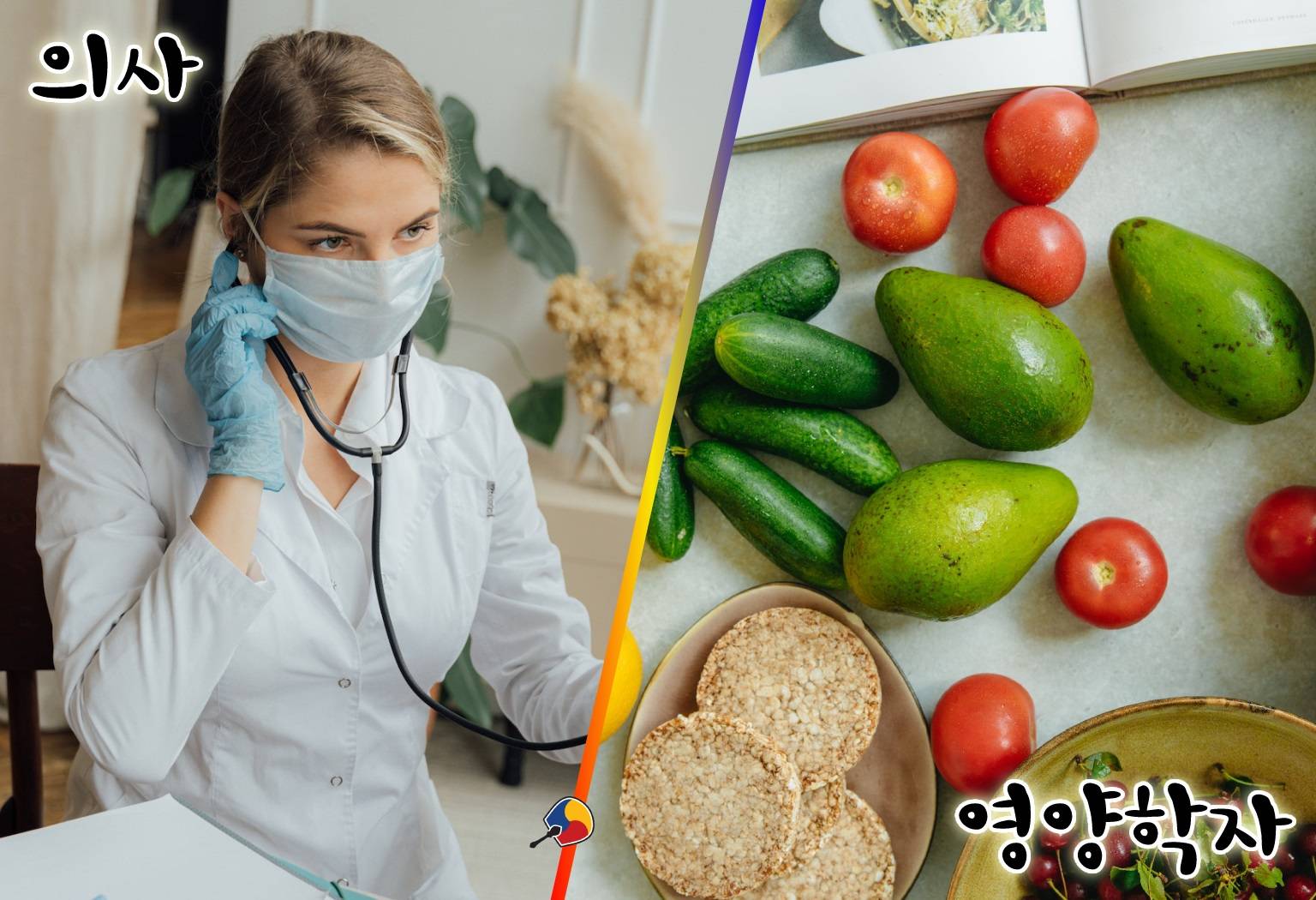 profissões em coreano