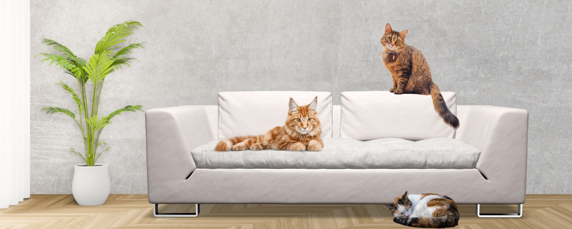 preposições em coreano