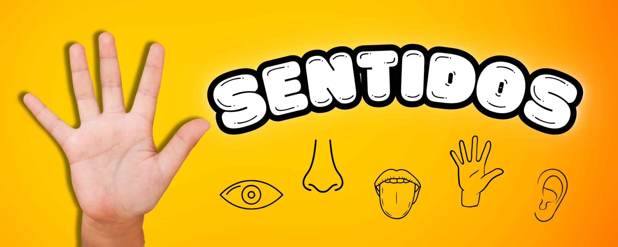 5 sentidos em coreano